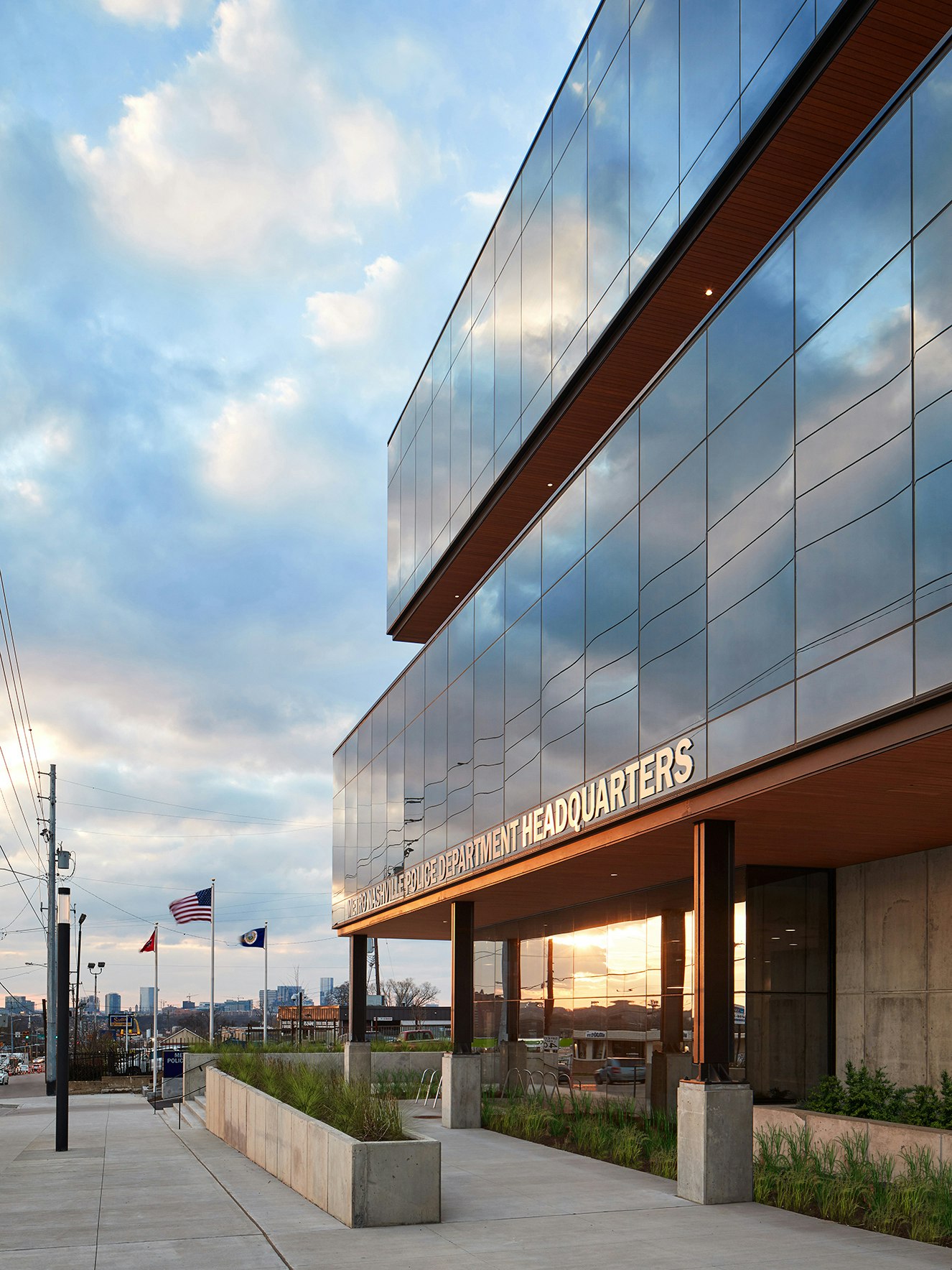 1206 004 w plants copy