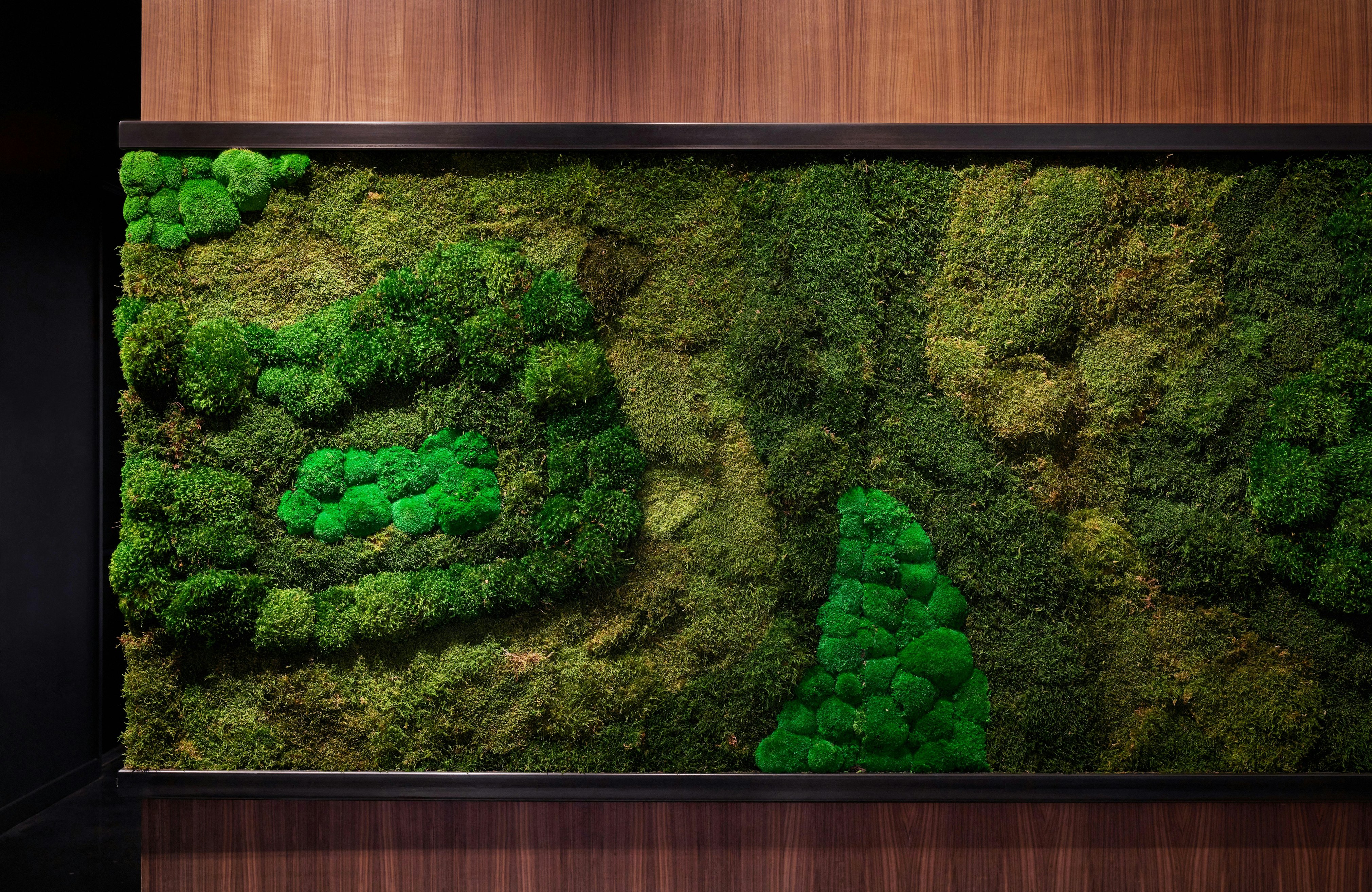 Adams and Reese 016 copy