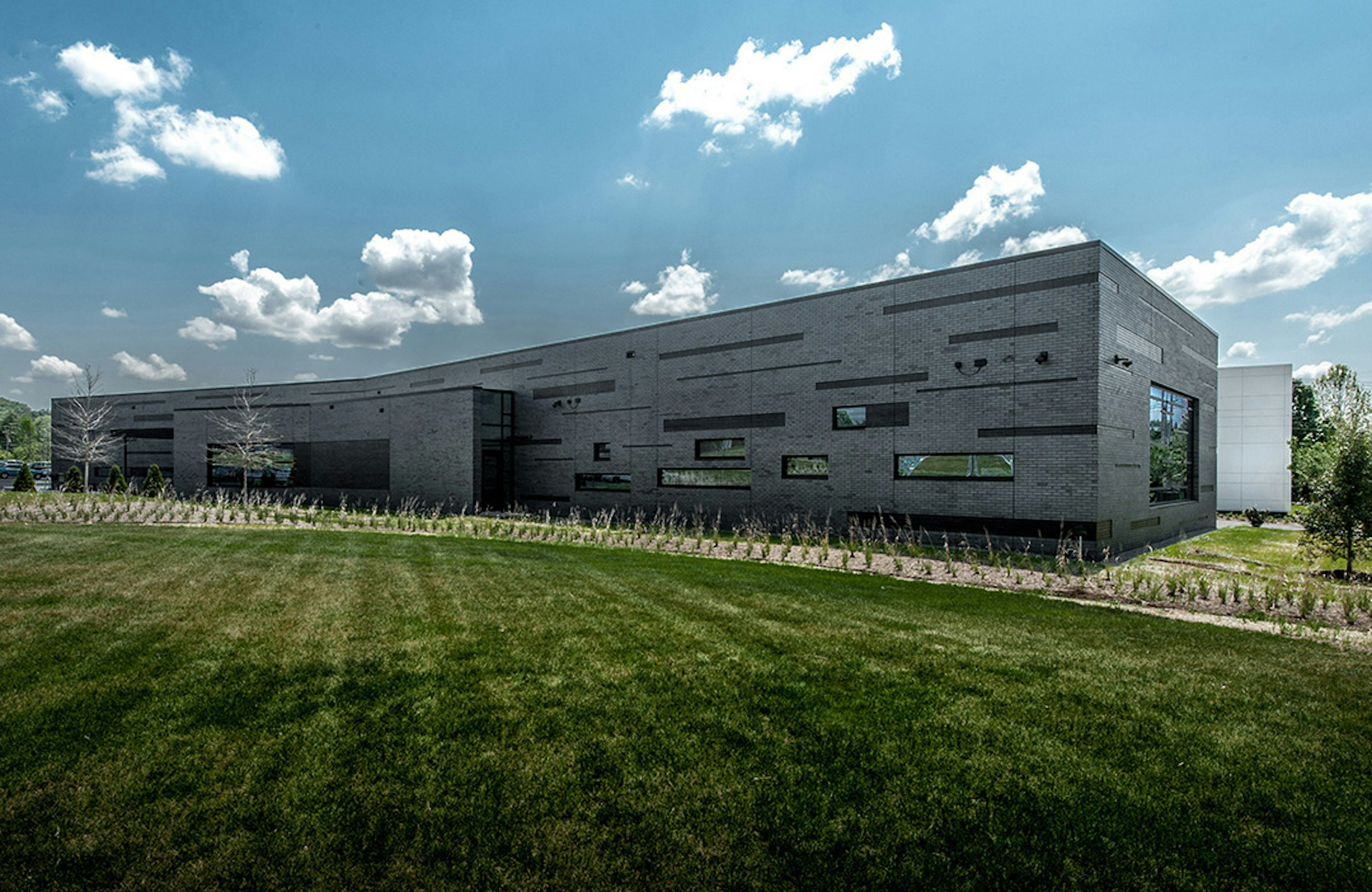 Bellevue Library Zach Goodyear 01