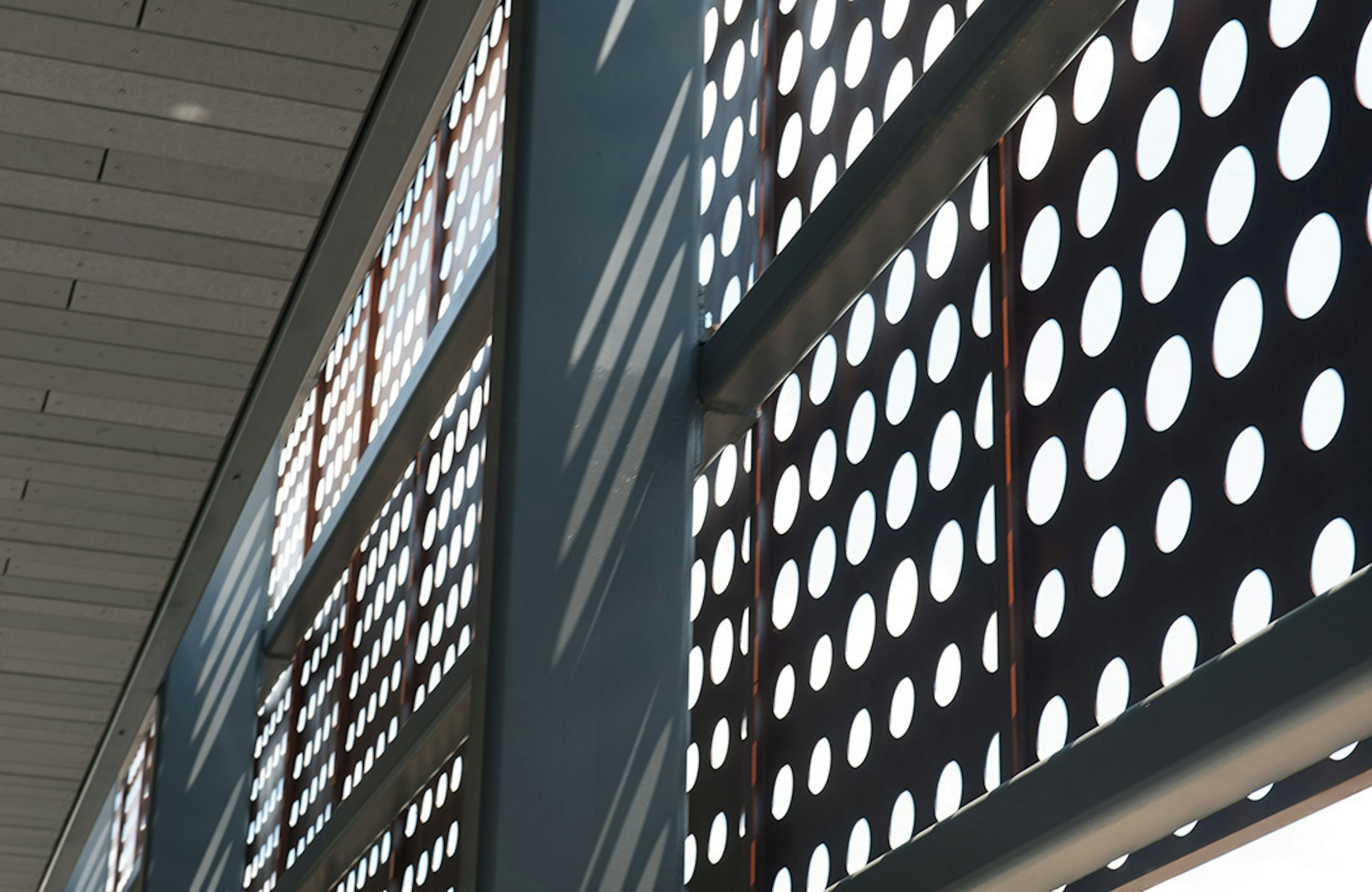 Bellevue Library Zach Goodyear 02