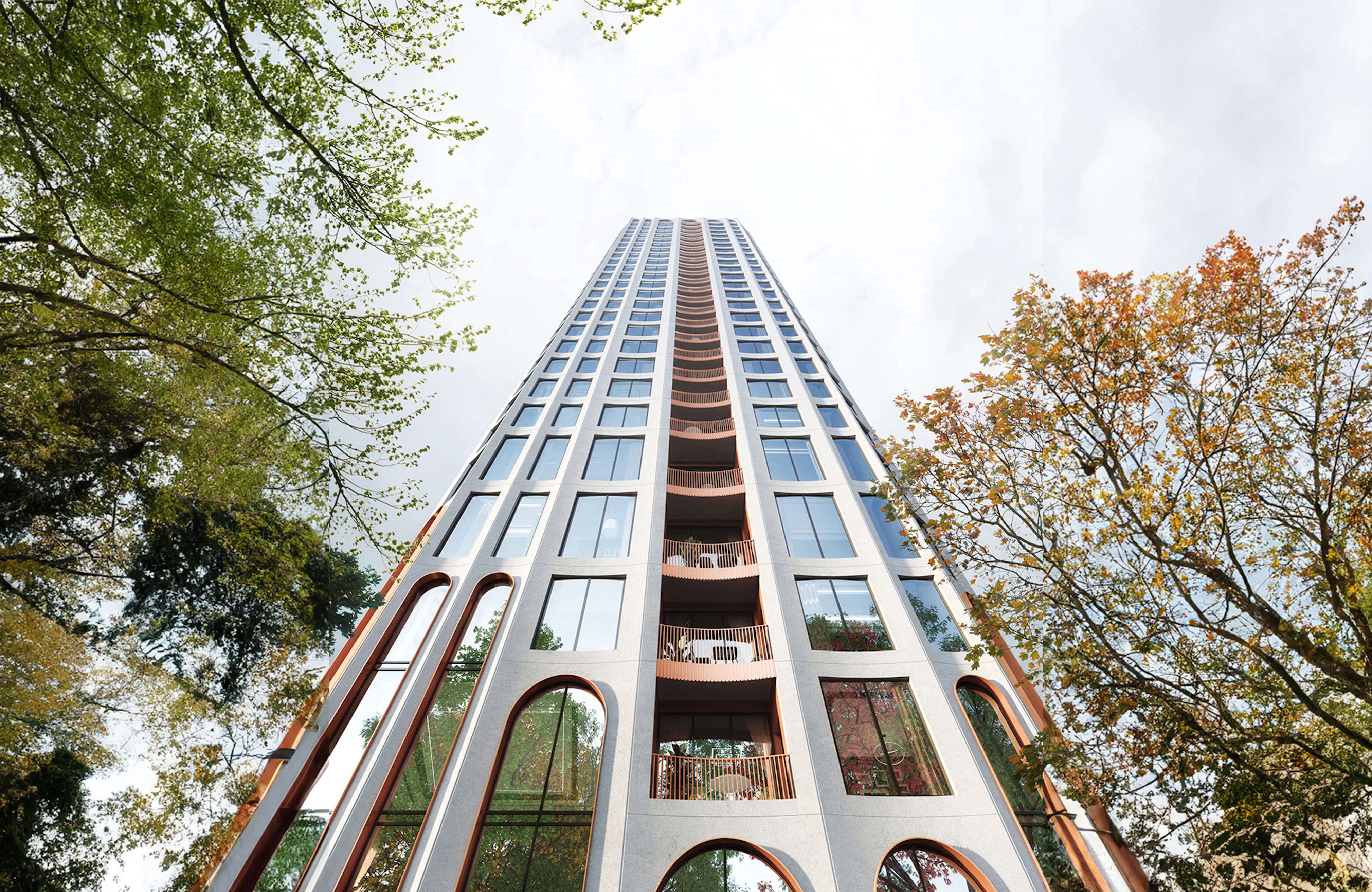 FINAL Looking Up Wide w Crown Motley copy