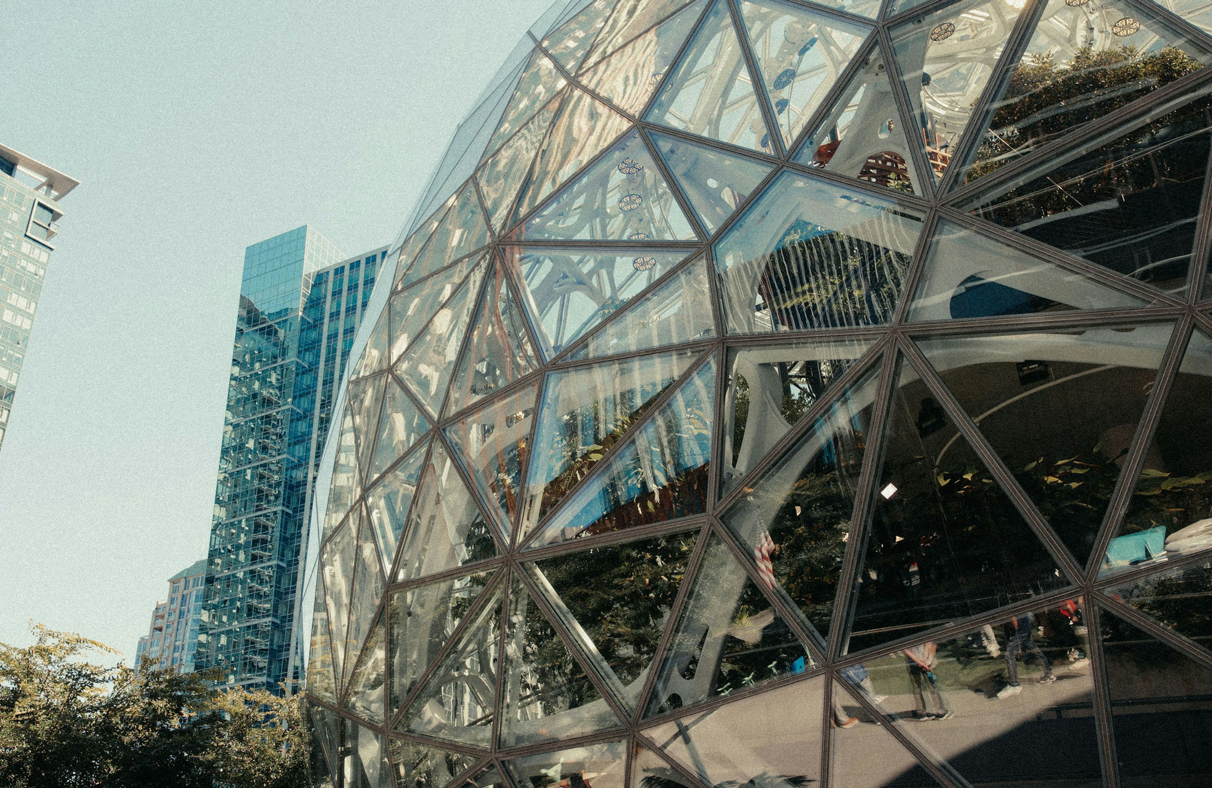 Hastings Seattle25 0256 copy