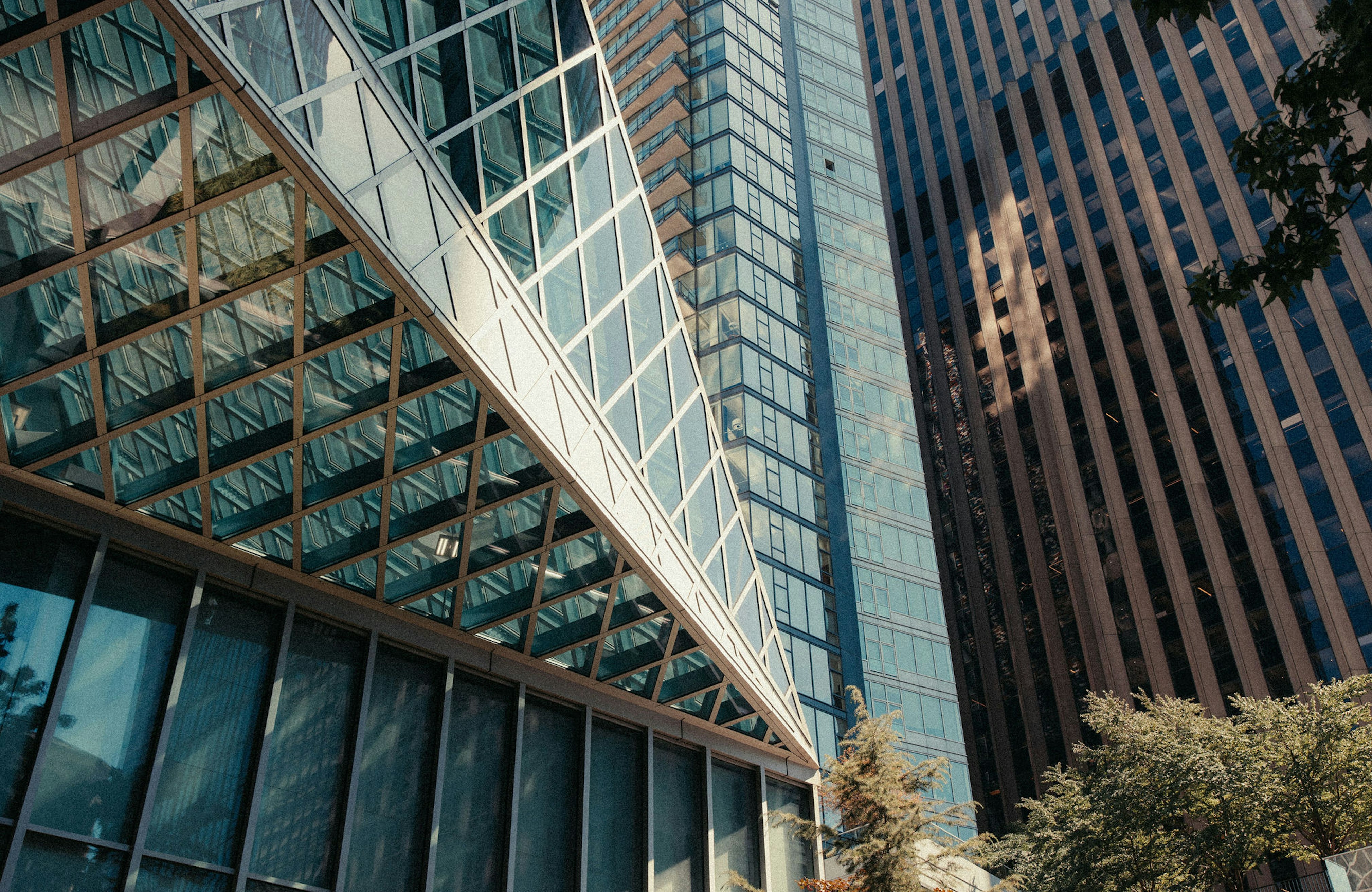 Hastings Seattle25 0808 copy